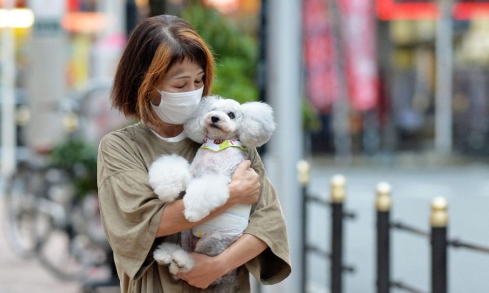 Pets in Different Cultures