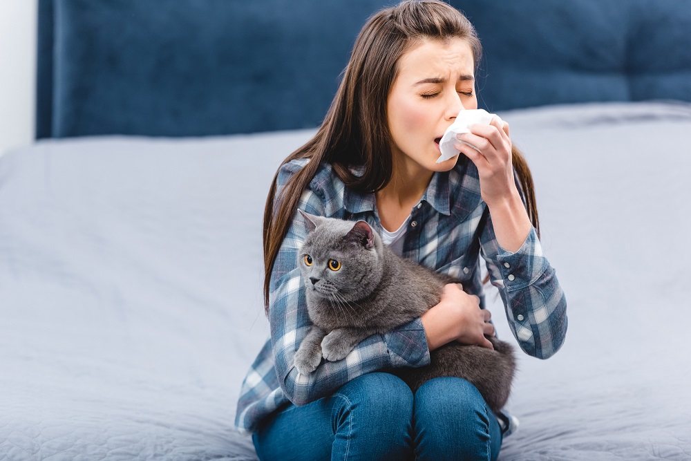 Embracing Your New Feline Friend: Minimizing Allergic Reactions In The Process