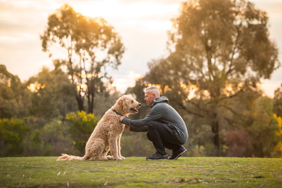 Exploring Canine Wellness and Traits: Vital Perspectives