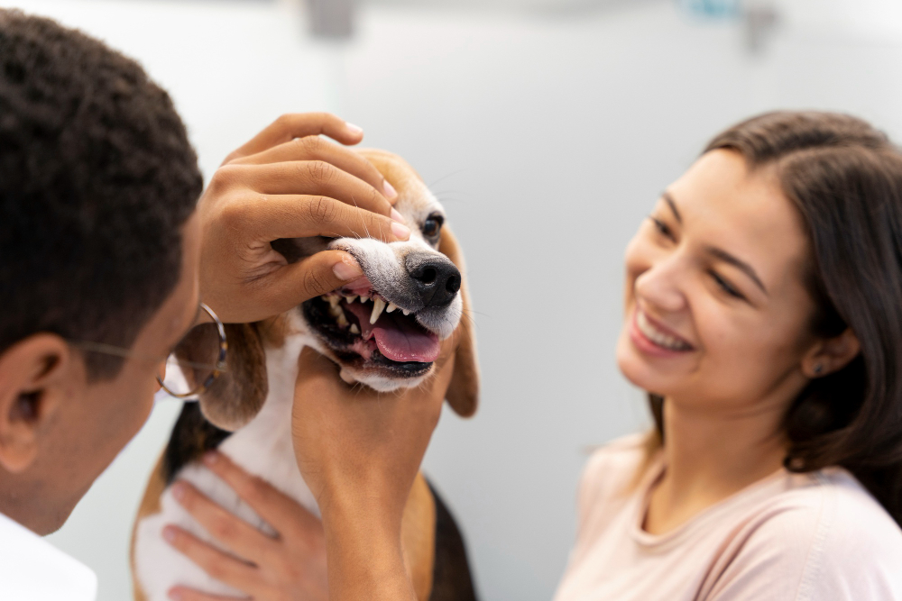 Choosing the Right Dog Dental Care Products: A Comprehensive Guide