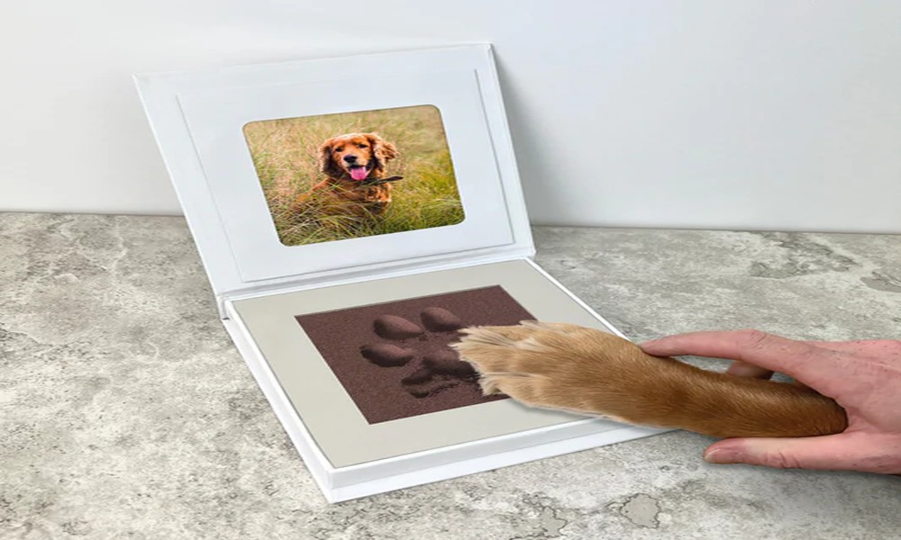 Pet Paw Print Kits: Capturing a Lasting Memory of Your Client's Pet ...